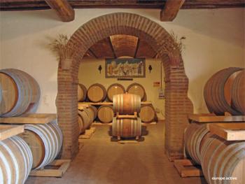 Cycling in Tuscany - Eroica